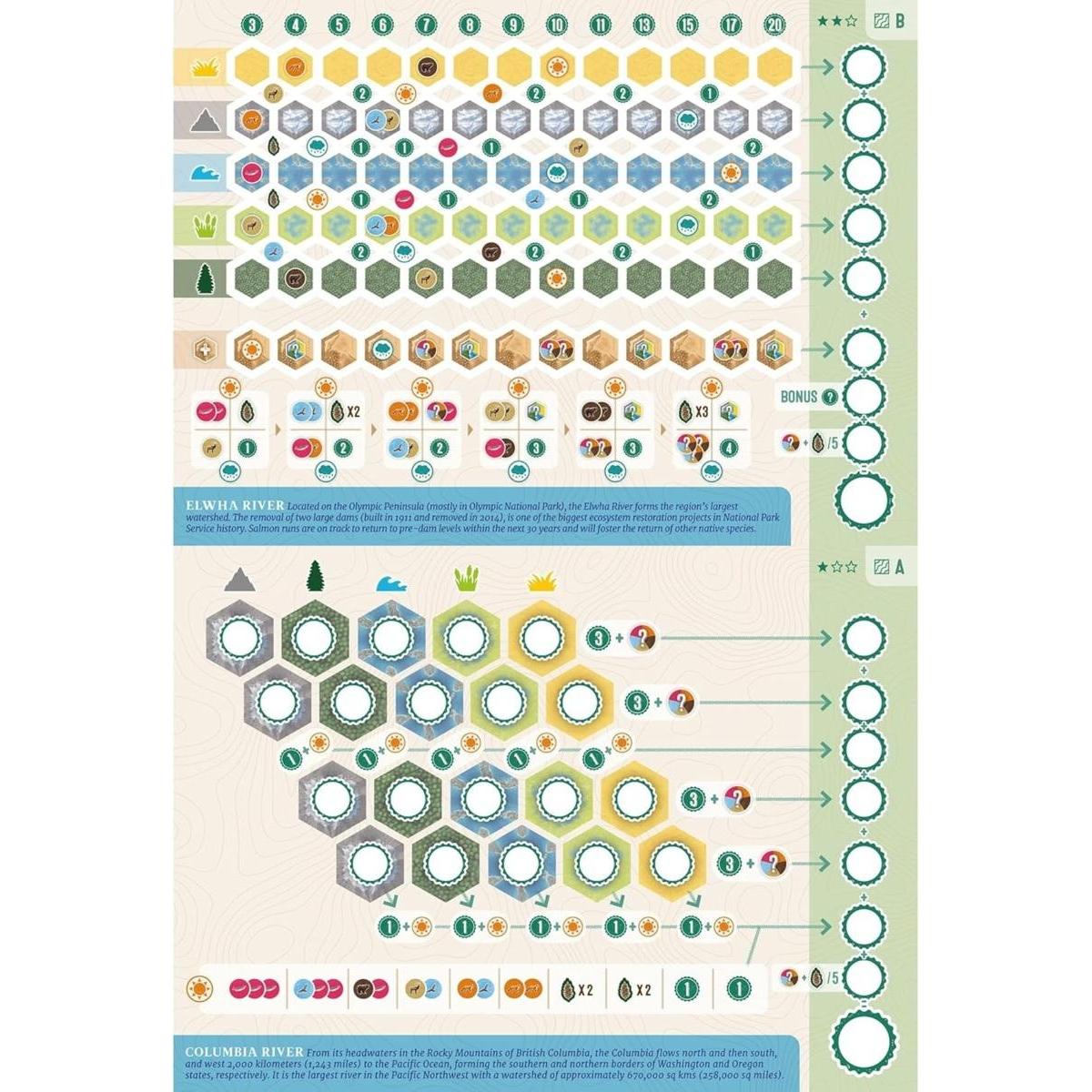 Hoja de juego hexagonal Cascadia con iconos de fauna y marcadores de puntuación