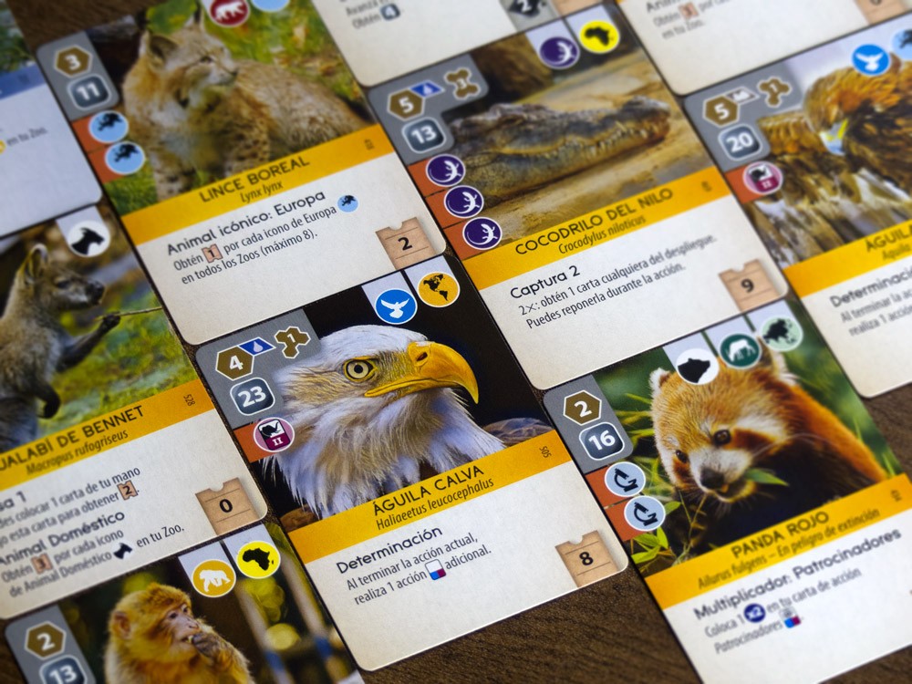 Cartas de animales del juego Ark Nova mostrando Lince Boreal, Águila Calva y Panda Rojo