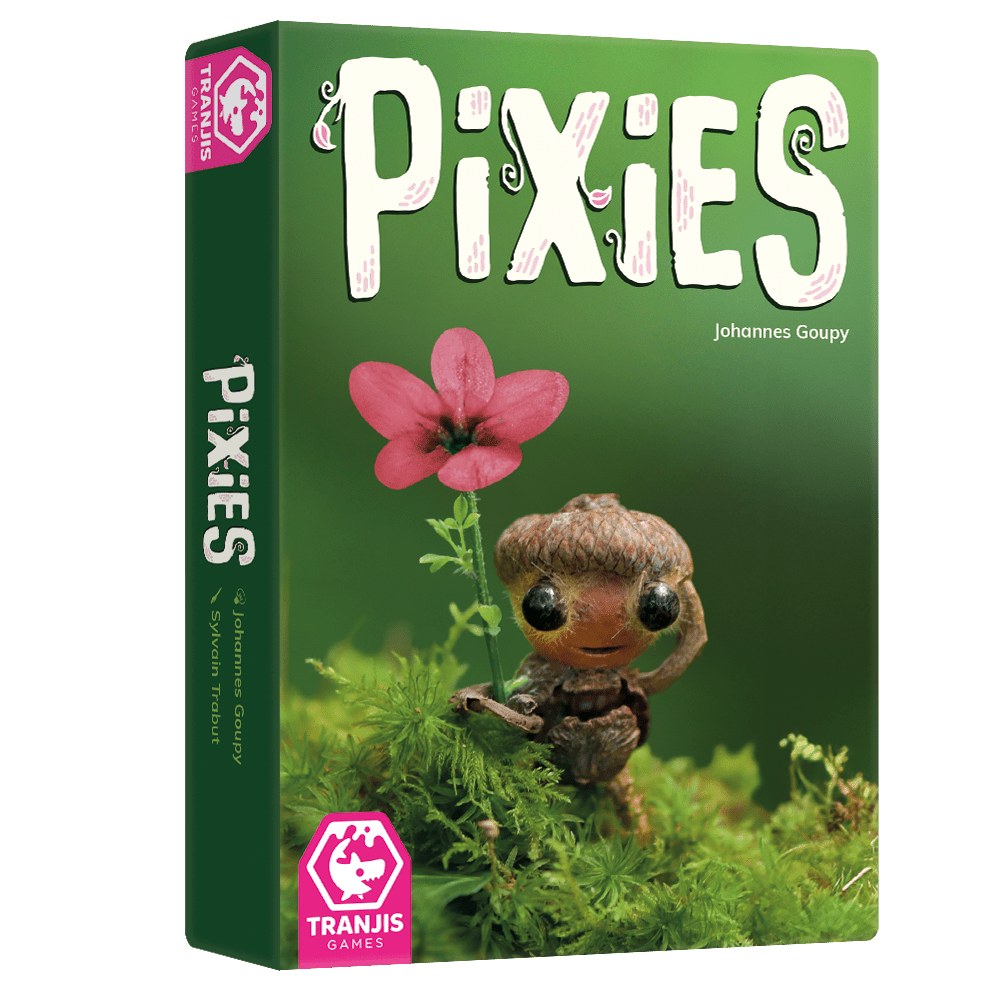 Caja juego de mesa Pixies hada hecha con piñón y musgo