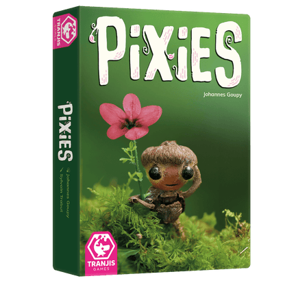 Caja juego de mesa Pixies hada hecha con piñón y musgo