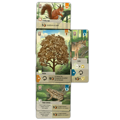 Cartas de juego Forest Shuffle mostrando ardilla, árbol y rana con iconos de recursos