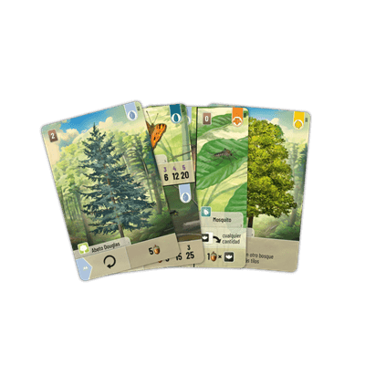 Cartas Forest Shuffle en abanico con pino, mariposa y elementos botánicos