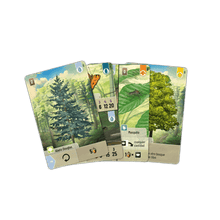 Cartas Forest Shuffle en abanico con pino, mariposa y elementos botánicos